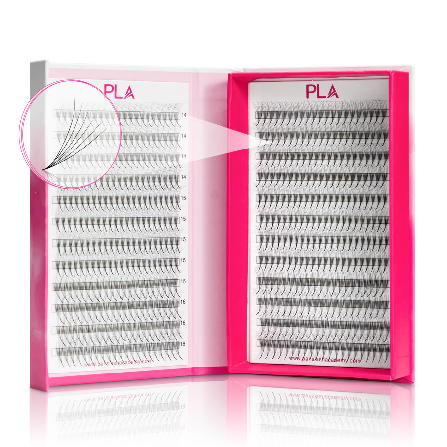 The BOLD Collection: 6D ProMade Fans : C Curl 10, 11, 12 mm