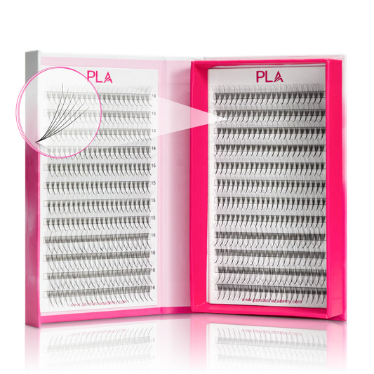 The BOLD Collection: 6D ProMade Fans : C Curl 8, 9 10 mm